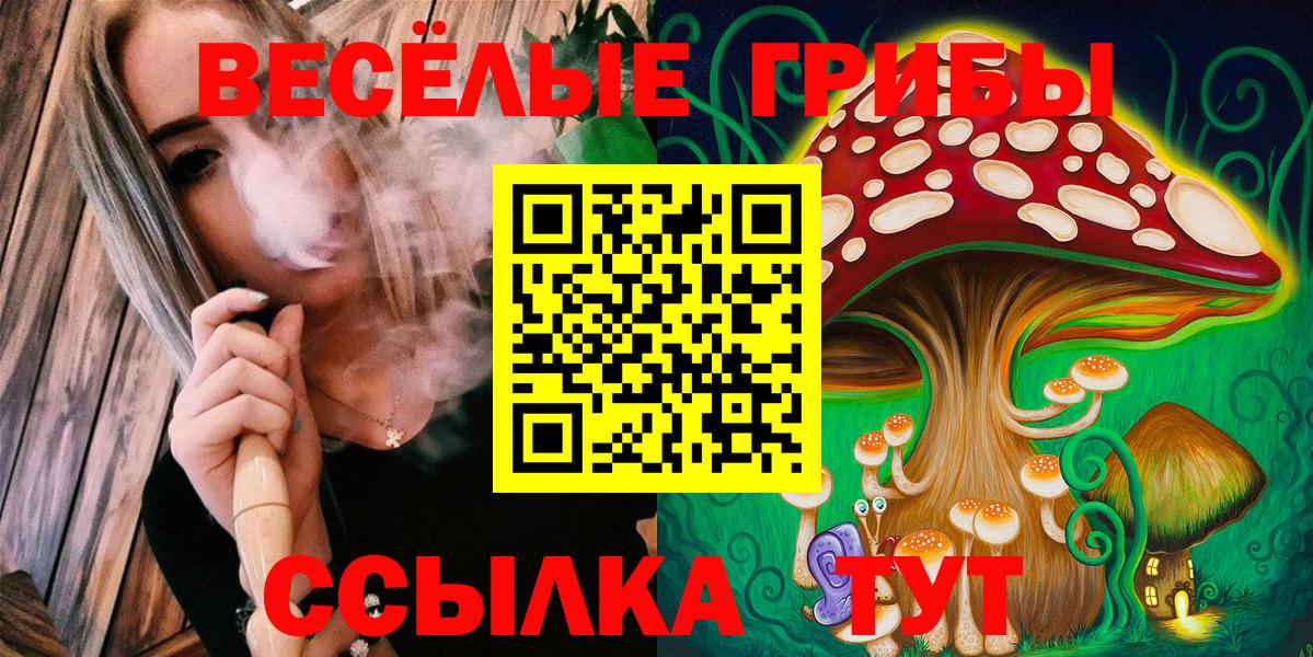 Междуреченск  Галлюциногенные грибы мухоморы  Вход с VPN  Галлюциногенные грибы Psilocybine cubensis 